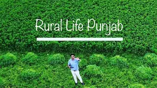 Khushab Punjab Village | How People Live In Villages | Rural Life of Pakistan | Drone View