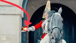 Royal Guard Presses the Emergency Buzzer for Serious Help! | Horse Guards, Royal guard, Kings Guard