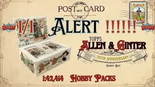 1/1 !!!!!!!!!  2025 Topps Allen Ginter Hobby Box Final Packs