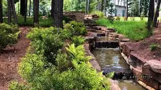 Explore the Longview Arboretum!