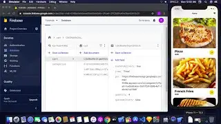 Firebase Firestore Tutorial For SwiftUI - Food Ordering App Using Firebase In SwiftUI - Ep 3