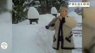 Dumitru  Dobrican - Tropotita