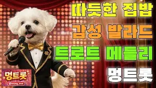 [플레이리스트] 엄마 밥상이 그리운 밤 🍲 따뜻한 집밥 감성 트로트 메들리 연속듣기 | 멍트롯
