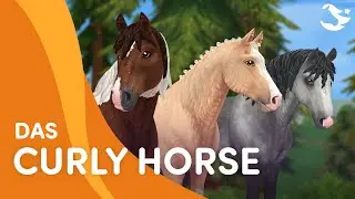Das Curly Horse✨ | Star Stable Pferderassen