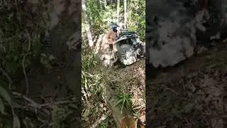 2022 Can Am Outlander XMR 570 tries a double black diamond trail #hillclimb #canam #outlander #xmr