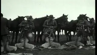 South African Cavalry assemble saddle and hay. HD Stock Footage