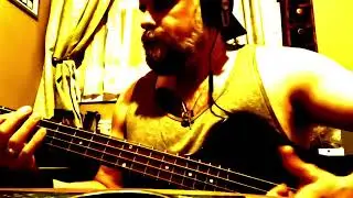 Gibson thunderbird slap bass 