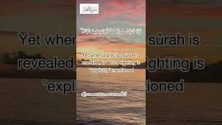 Surah Muhammad Ayat 20 #shorts #quran #fatihseferagic