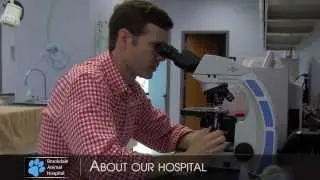Brookdale Animal Hospital | Veterinarian in Charlotte, NC