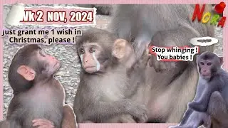 Don't whinge 😉, babies !