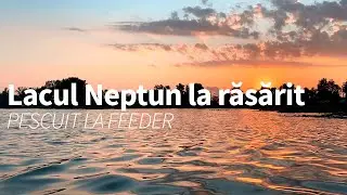 Pescuit la Feeder pe Lacul Neptun | Vii mai mult pentru răsărit decât pentru pescuit