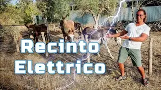 Recinto Elettrificato per Animali con generatore Elettrico Elettrificatore B/12 di Gemi Elettronica