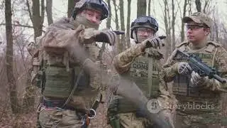 Airsoft 101: Your Ultimate Beginner's Guide