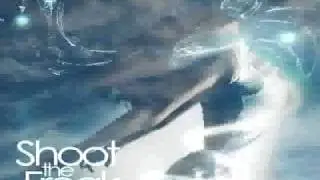 FLY HIGH - Shoot The Freak