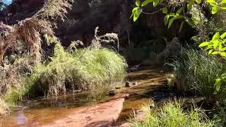 Fortescue Falls, Dales Gorge Trail, Karijini, Pilbara, Western Australia, Australia