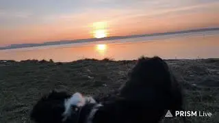 Sunset an der Schleil