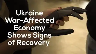 Ukraine War-Affected Economy Shows Signs of Recovery
