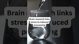 Kids Brain Research Shows....