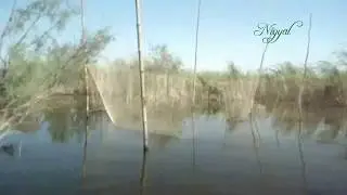 (Chotiari Reservoir) Fishing spot around Sanghar Pakistan