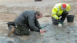 Million year old footprints discovered in Britain