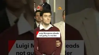 Luigi Mangione pleads not guilty to murder