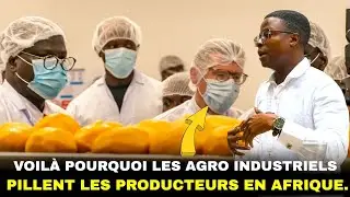 Voilà la raison pour laquelle les usines agroalimentaires pillent les agriculteurs en Afrique.