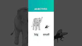 Opposite adjectives in English | Daily Used Adjectives | Antonyms #antonymsinenglish #oppositewords