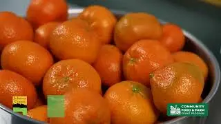 Iowa City Free Lunch Program 2024 Community Food and Farm Grant
