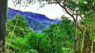 POR SEGUNDA VEZ- TEODULFO ABRIL.( Ranchera de Julio Casallas.)