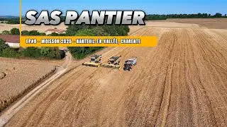 EP8 - MOISSON 2025 - SAS PANTIER