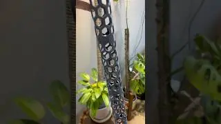 3D Printed Moss Pole vs Wire Moss Pole (Huge Upgrade?)