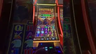 Buffalo Link hold and spin bonus! Maxed out major?! #choctaw #casino #slots