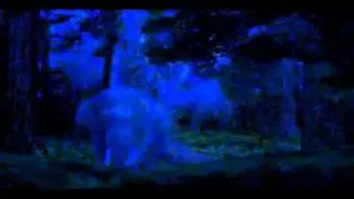 ELEPHANT IN THE DARK_VFX BREAK DOWN_NTA.avi