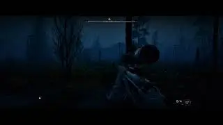 S T A L K E R  2 Chimera vs bloodsucker