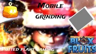 I Got Shark Anchor And Fox Lamp At The Same Time | Blox Fruits | Mobile Grinding