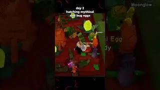 hatching for dragonfly in grow a garden