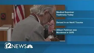 Day 6 Recap: The murder of Allison Feldman trial coverage
