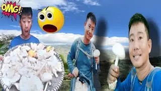 🍄🍄🍄🍄🍄🍄 mushroom lovers🥰🥰🥰#newvlog