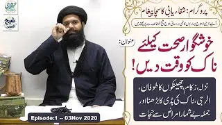 Give time to your nose for good health | Cure of flu, sneezes, allergy and all of the other diseases
