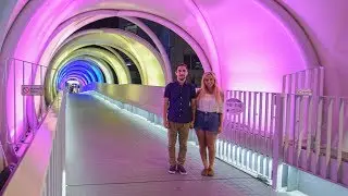 PALETTE TOWN in Odaiba, Tokyo - Japan Vlog #36