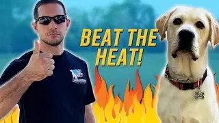 5 TIPS TO BEAT THE SUMMER HEAT WITH YOUR DOG!