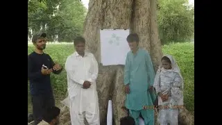 FARM FIELD SCHOOL & IPM , SUSTAINABLE AGRI || FIELD ACTIVITIES WITH FARMERS IN SINDH PAKISTAN