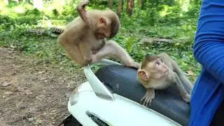 Sovana & her friends are very happy riding a motorbike with Konthea, they are missed ride long time