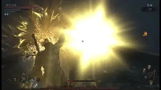 Lords of the Fallen: Ruiner boss fight Combat Gameplay