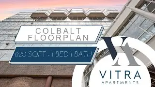Indianapolis Apartments for Rent: Cobalt 1 Bed/1 Bath Virtual Tour | VITRA Apartments
