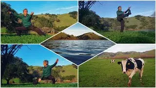 Tai chi qigong flow at a park. Nature, cows, lakes, oh my.