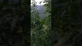 Nilgiri Mountain Railway||Ooty||High Altitude train||Toy train #toytrain #mountainrailway #shorts