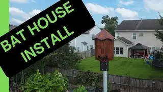 Gave My Backyard Bats a 'Transylvania' Castle (Now I&rsquo;m Waiting For New Neighbors!)