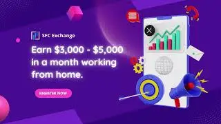SFC Exchange: How to earn money in a month working from home.