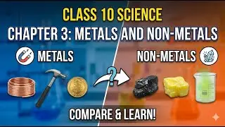 Metal and Non Metal Class 10 Chapter 3 in HIndi | Full Animated In Hindi